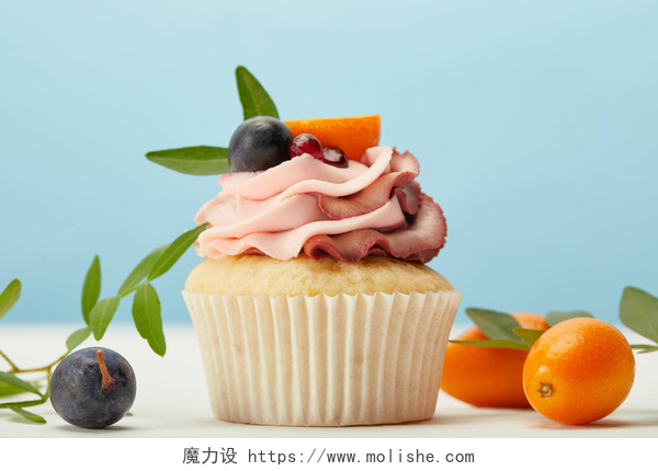 白色背景上的美味水果蛋糕在蓝色白色表面上与奶油、葡萄和金桔的蛋糕